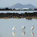 Casa Ana Y El Mar - Para Enamorados Del Mar - Lanzarote