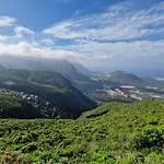 Los Vinedos