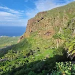 Los Vinedos