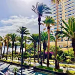 Palm Avenue - Adults Only -