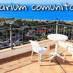 Pacucos 4