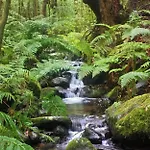 Casa Nature