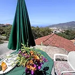 Sombrero De Pico C
