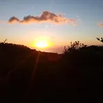 Kleines Refugium Unter Kastanien