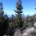Apartamento Teidemar, En El Sur De Tenerife