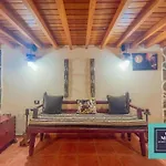 Naynoa Vv Teror