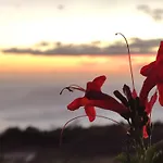 El Jardin De Las Pleyades