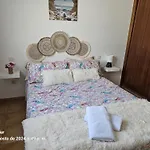 El Erizo