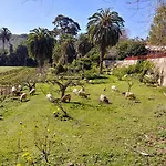 Nahuen