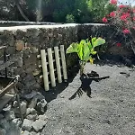 Casa Brujas Lajares