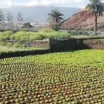 Finca Las Tapias, Casa Mane
