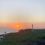 Mangos Mar C