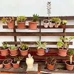 Apartamentos Los Verodes