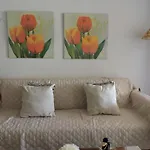 Yucca Park Fanabe