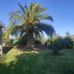 Cottage Gran Canaria Completely Renovated With Jacuzzi