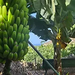 Casa Erika
