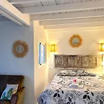 Loft Cactus