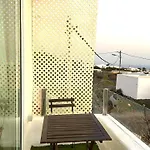 Loft Cactus