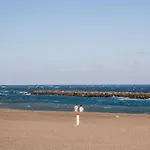 Live Puertito Las Palmeras
