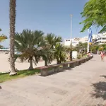 Paloma