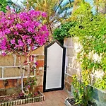 Casa Sarita - In Teneriffas Sonnigem Sueden