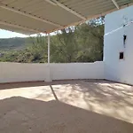Dragon Fly House