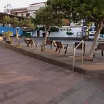 Estudio Parada Baja En Playa Santiago