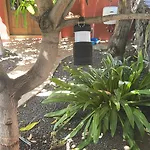Casa Mamei