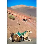 Las Caletas