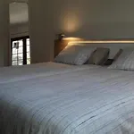 Vv Telemaco Green