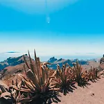 Palm Oasis Apartment Tenerife
