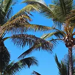 A Los Pies De Las Canteras - Atlantic Coral Bay