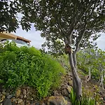 La Finca De La Bicicleta