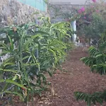 Casa El Balo