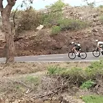 Los Eucaliptos