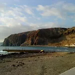 Flamingo Palmar