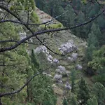 Casa Rural El Riachuelo