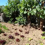 Finca Angeles