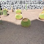 Los Cactus