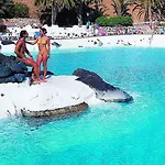 Fiesta Paraiso Complejo