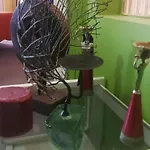 Bungalow Palmeral Oasis