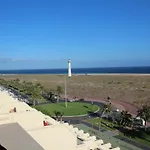 Palm Garden