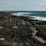 Crucero Vista Al Mar A