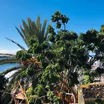 Apartamento Efigenia Vista Mar