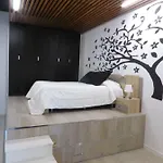 Oasis 6