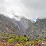 Naturaleza Viva