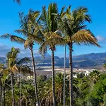 Playmar 2 Bungalow