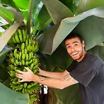 Tropical House