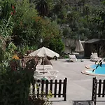 El Olivar - Orujo