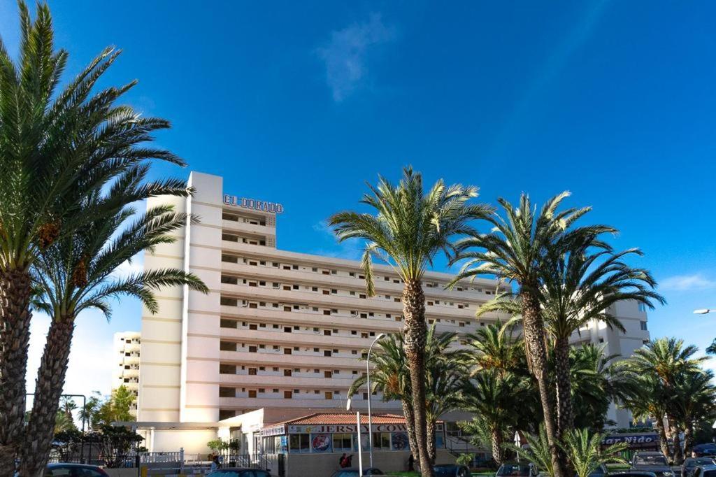 Excellent El Dorado Arona (Tenerife)
